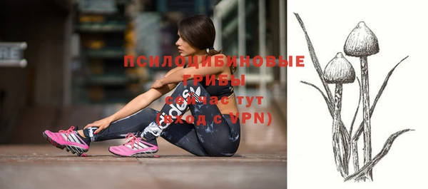 прущий лед Алзамай