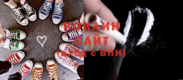 прущий лед Алзамай