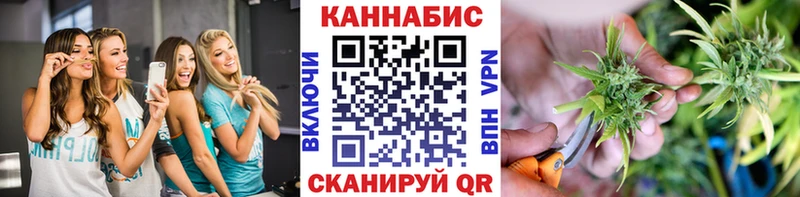 Канабис сатива  мега как зайти  Фурманов 